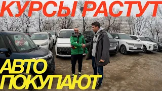 ОТЗЫВЫ ПРО НОХАРА АВТО // ПАРТИЯ ЯПОНСКИХ МАШИН // ТОЛЬКО С ТАМОЖНИ