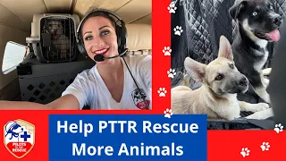 PTTR Can Rescue More Animals with Your Support!