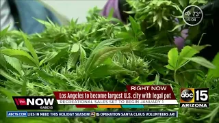 L.A. to become largest city to legalize pot