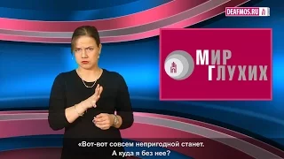 МИР ГЛУХИХ: Дубликат без ИПРА