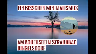 Bodensee Fotografie - Schöner einsamer Baum - Sonnenaufgang am Bodensee.