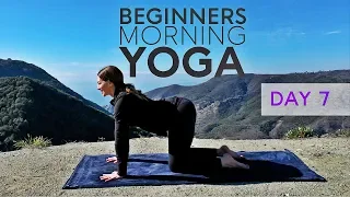 Beginners Yoga (Morning Class) 15 Minute Practice - Day 7 | Fightmaster Yoga Videos