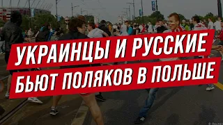 Украинцы и русские бьют поляков! Драки и грабежи в Польше. Нюансы жизни в Польше