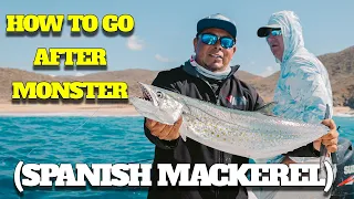 Inshore Fishing in Cabo San Lucas: Flies, Top Water Jigs, and Big Sierras!"