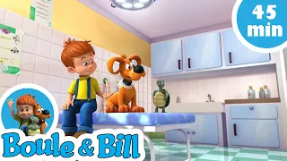 👨‍⚕️Boule et Bill s'amusent bien chez le vétérinaire 🐕 - Nouvelle compilation Boule et Bill FR