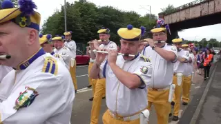 Craigneuk True Defenders (The Derry) Wishaw Morning parade - 2016