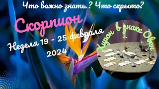 СКОРПИОН♏НЕДЕЛЯ 19 - 25 ФЕВРАЛЯ 2024🌈ЧТО ВАЖНО ЗНАТЬ? ЧТО СКРЫТО?✔️ГОРОСКОП ТАРО Ispirazione