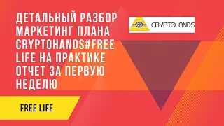 Детальный разбор маркетинг плана CryptoHands#FREE LIFE на практике  Отчет за первую неделю