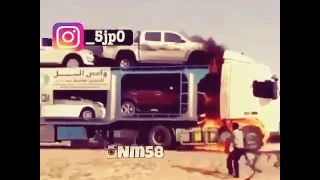 طلوع شاص من حريق