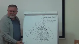 Владимир Полежаев презентация бизнеса