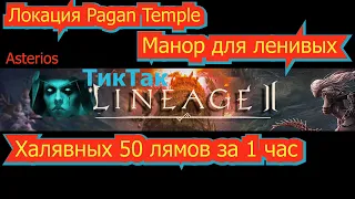 Манор для ленивых  Халявные 50 лямов за 1 час Локация Pagan Temple Языческий Храм.Asterios Фарм кач