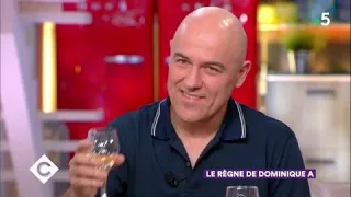 Le règne de Dominique A - C à Vous - 16/03/2018