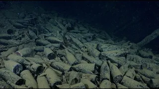 Deep-Sea Divers Stumble Onto 900 Ancient Bottles of an Extremely Rare Substance