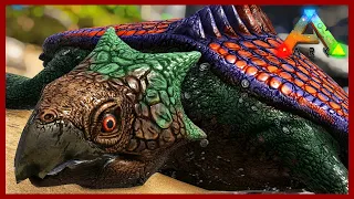 This Giant Sea Turtle is Amazing - Archelon Taming - The Island Map - Ark Survival Evolved Ep 19