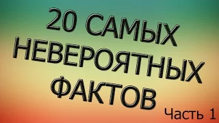 20 НЕВЕРОЯТНЫХ ФАКТОВ (Часть 1)