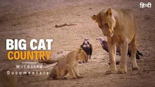 Punks on the Run - Big Cat Country [2023] हिन्दी डॉक्यूमेंट्री | Wildlife documentary in Hindi