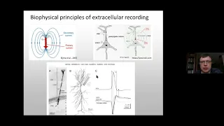 M5 Prof. Alexey Malyshev "Methods of Recording and Stimulation of Neurons" IHNA/iBRAIN