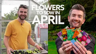 What Flowers To Sow in April | What to Sow Now!