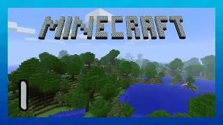 "Why I'm here" - MineCapsule (Ep.1)