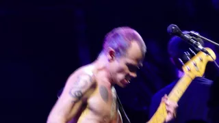 Red Hot Chili Peppers - Scar Tissue - Lollapalooza 2016 Chicago