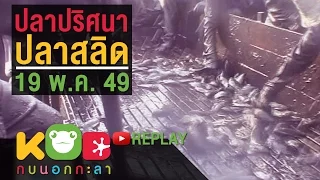 กบนอกกะลา REPLAY : ปลาปริศนา ปลาสลิด ช่วงที่ 3/4 (19 พ.ค.49)