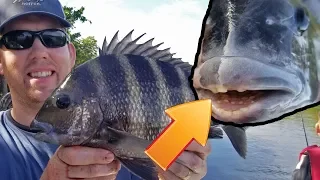 Catch Clean and Cook Sheepshead- Fishing for the Fish with Human teeth - how to catch