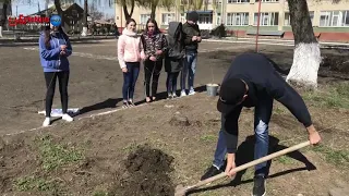 Випускники Хрещатицького НВК біля рідної школи висадили берізки