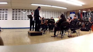 Flute Concerto in G major, Allegro Maestoso