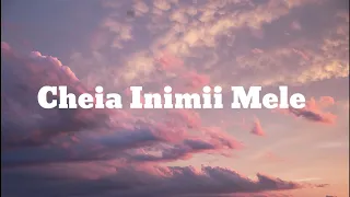 Dj project & Mira - cheia inimii mele ( Versuri/Lyrics )