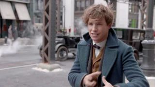 Fantastic Beasts and Where To Find Them "Newt" Interview - Eddie Redmayne