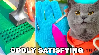 Oddly Satisfying Video That Relaxes You! 😜Have a Nice Weekend !!! | Oscar’s Funny World