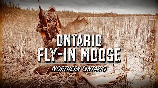 Ontario Fly-In Moose  | Promo | Season 17