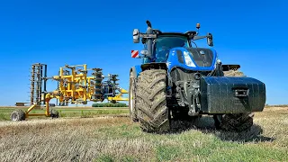 #agrotec #newholland #dondi | New Holland T7.340 traktor + Dondi Big 400 nehéz kultivátor