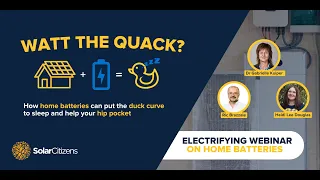 WATT THE QUACK?: How home batteries can help your hip pocket and the grid
