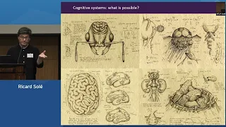 22 Ricard Solé - Possible and actual minds: Mapping the cognition space