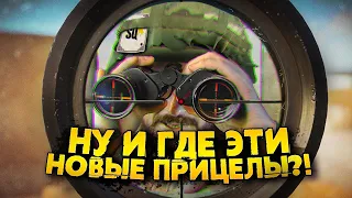 НУ И ГДЕ ЭТИ ПРИЦЕЛЫ?! SQUAD PUBLIC TEST.