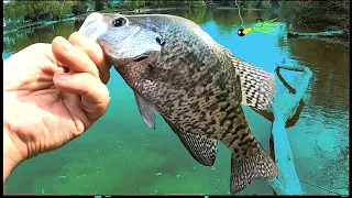 Crappie Fishing Spring Spawn (Jig and Bobber)