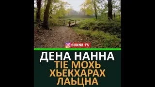 ДЕНА НАННА ТIЕ МОХЬ ХЬЕКХАРАХ ЛАЬЦНА ХЬЕХАМ