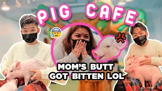 WE WENT TO A PIG CAFE!!! *OMG SO CUTE*