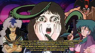 The Bizarre Rabbit Hole of Direct To VHS Anime