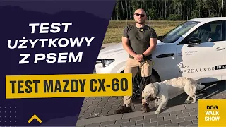 Mazda CX-60 - test użytkowy Z PSEM! | Dog Walk Show testuje #2