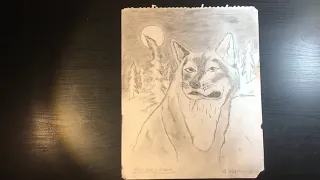 Dessiner un loup - Draw a wolf (Produit final)