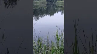 Рыбалка на светящиеся поплавки