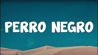 PERRO NEGRO - Bad Bunny (Letra/Lyrics)
