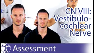 Cranial Nerve 8 | Vestibulocochlear Nerve Assessment for Physiotherapists