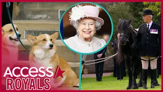 Queen Elizabeth's Corgis & Pony Bid Final Farewell at Windsor Castle