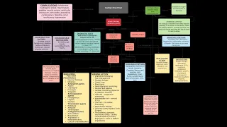 MSN Group Assessment Concept Map (Cardiac Chest Pain- Acute Coronary Syndrome)