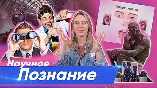 Научное познание — Елизавета @ohmysoc ЕГЭ Обществознание