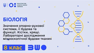 8 клас. Біологія. Лабораторні дослідження мікроскопічної будови тканин