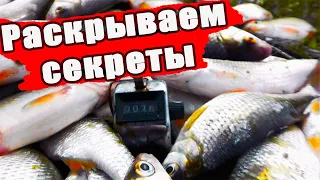 🐟 ПЛОТВА НА  фидер от А до Я ☝🔴.   Раскрываю секреты!😉